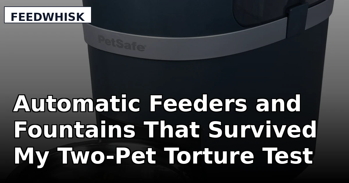 Automatic Feeders and Fountains That Survived My Two-Pet Torture Test