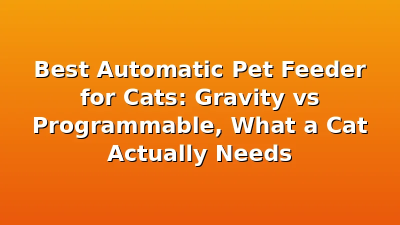 Best Automatic Pet Feeder for Cats: Gravity vs Programmable, What a Cat Actually Needs - FeedWhisk review with measurements and honest opinion