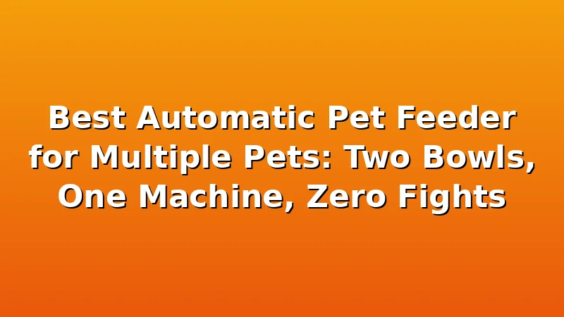 Best Automatic Pet Feeder for Multiple Pets: Two Bowls, One Machine, Zero Fights - FeedWhisk review with measurements and honest opinion