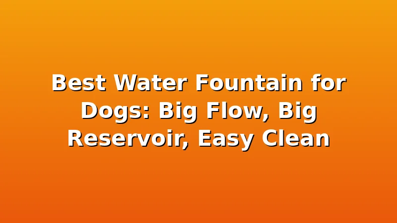 Best Water Fountain for Dogs: Big Flow, Big Reservoir, Easy Clean - FeedWhisk review with measurements and honest opinion