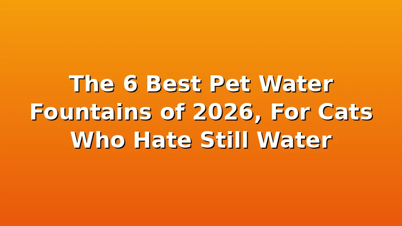 The 6 Best Pet Water Fountains of 2026, For Cats Who Hate Still Water - FeedWhisk review with measurements and honest opinion