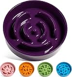 LE TAUCI Ceramic Slow Feeder (B0BWDY948D)